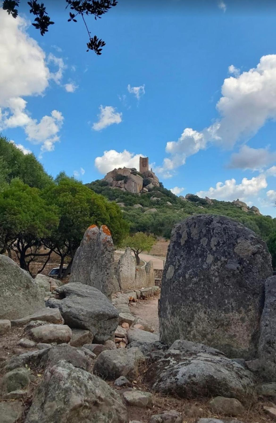 Villa Patrizia-Luxury House Olbia Extérieur photo